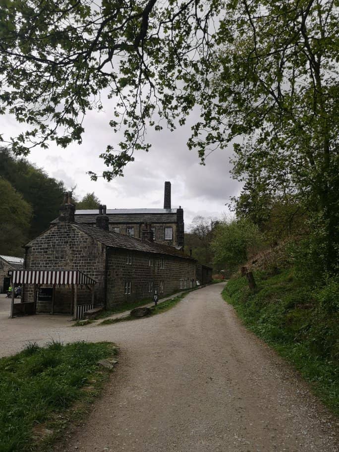 Axe Throwing & Escape Rooms