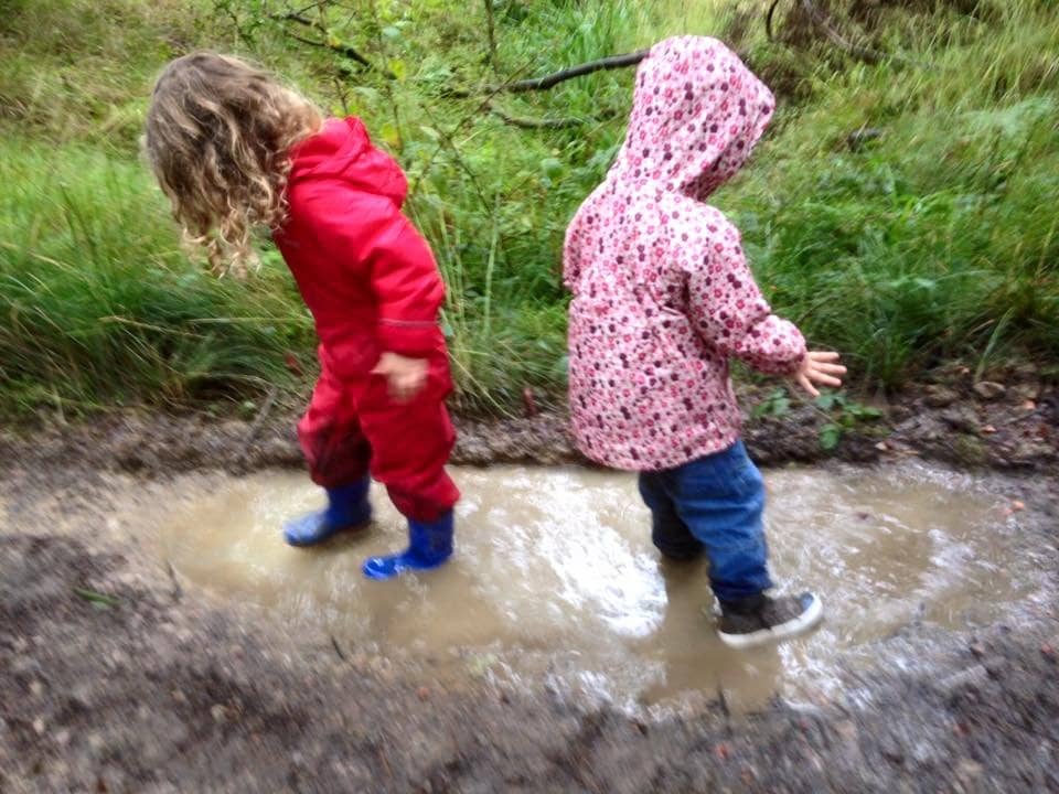 Beaver Enclosure