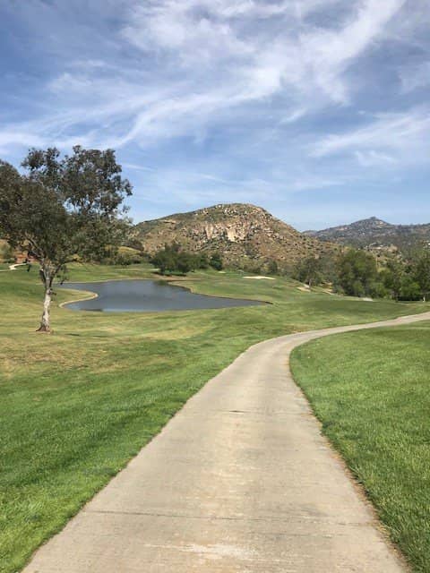 Breathtaking Vineyard and Mountain Views