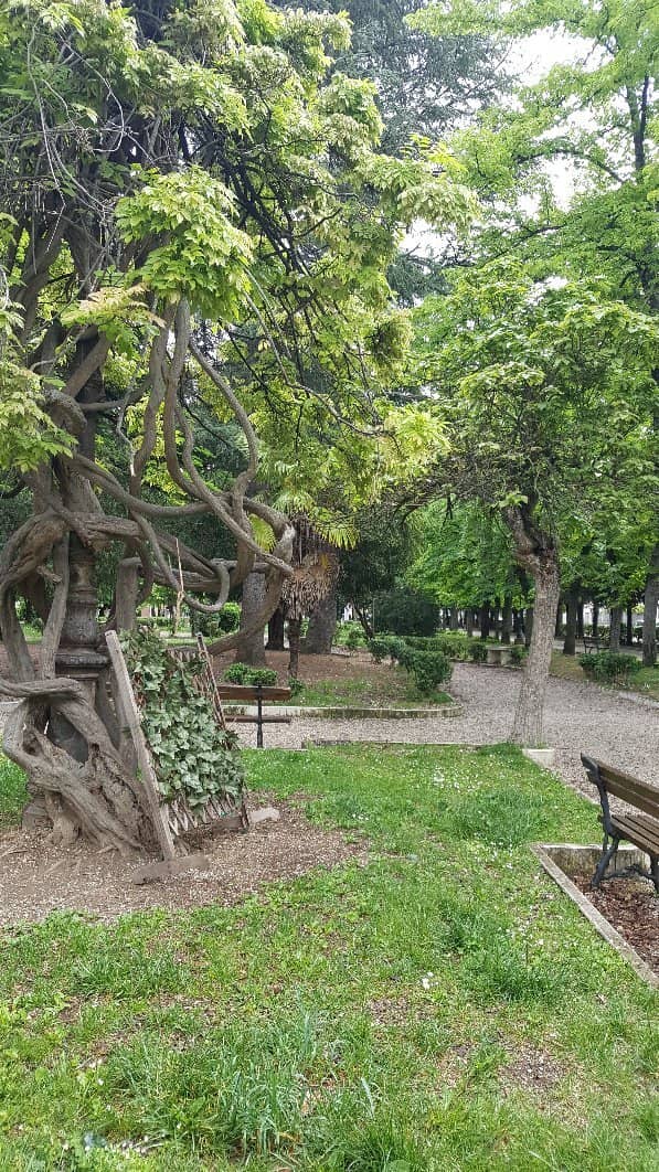 Tranquil Walking Paths