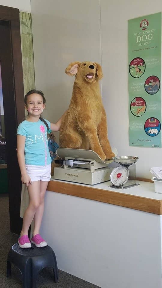 Play Vet Clinic