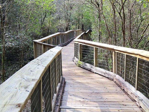 Interpretive Boardwalk Trail