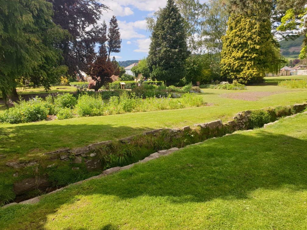 Playground & Open Fields