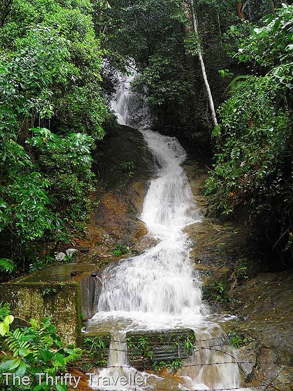 Bargain Shopping Galore