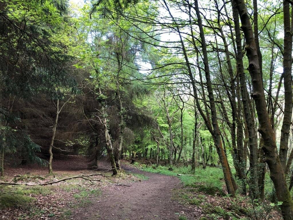 Woodland Walks