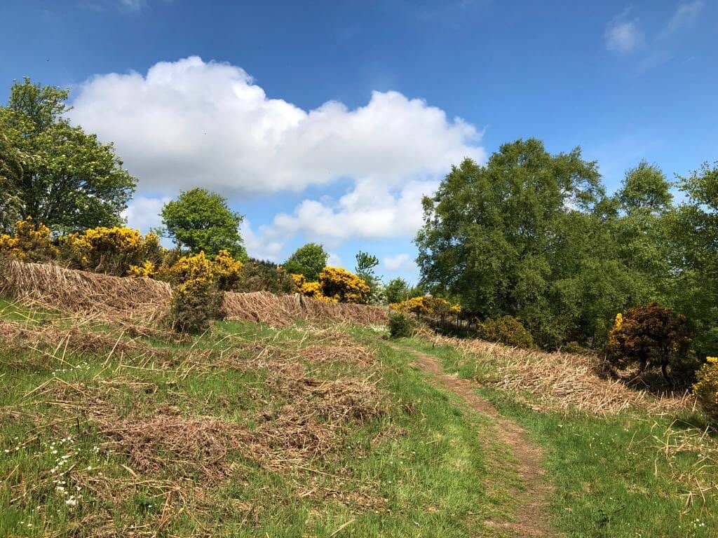 Falling Foss Tea Garden