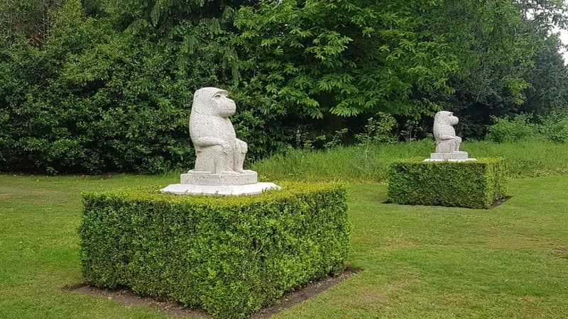 Yew Trees