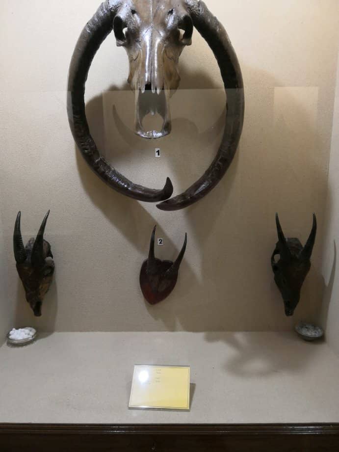 Mizo Customs and Festivals