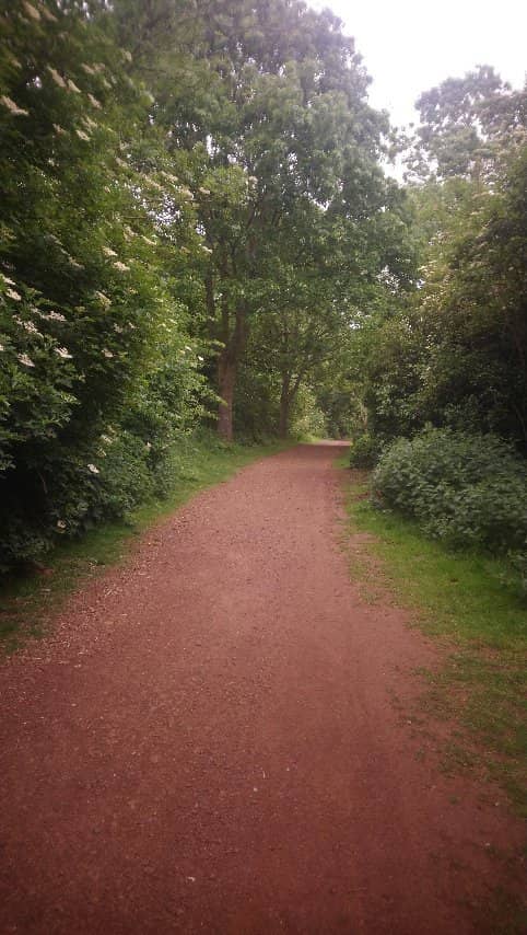 Children's Play Area