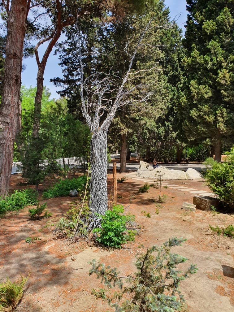 Children's Maze and Playground