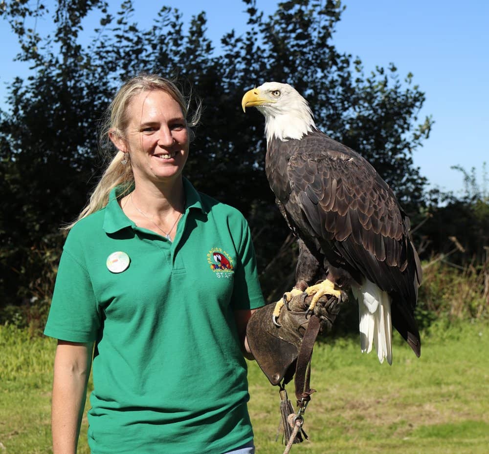 Dinosaur Trail Adventure
