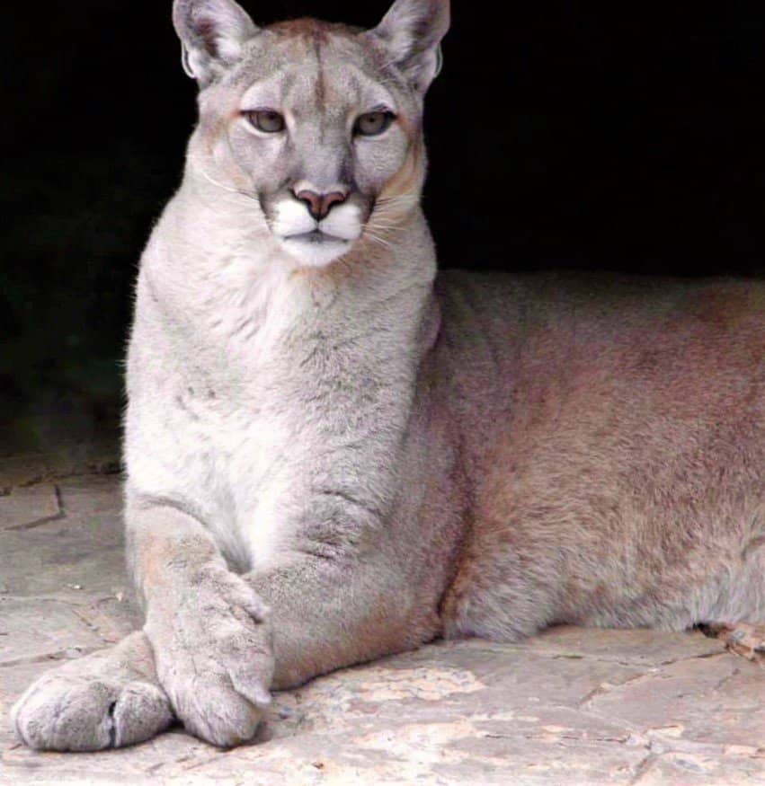 Hidden Pristine Beach