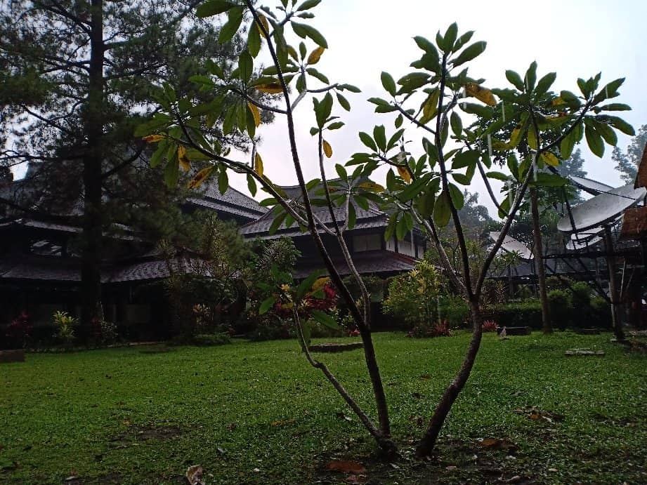 Ganesha Campus Architecture