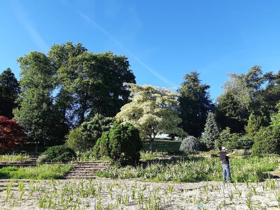 Rose Gardens
