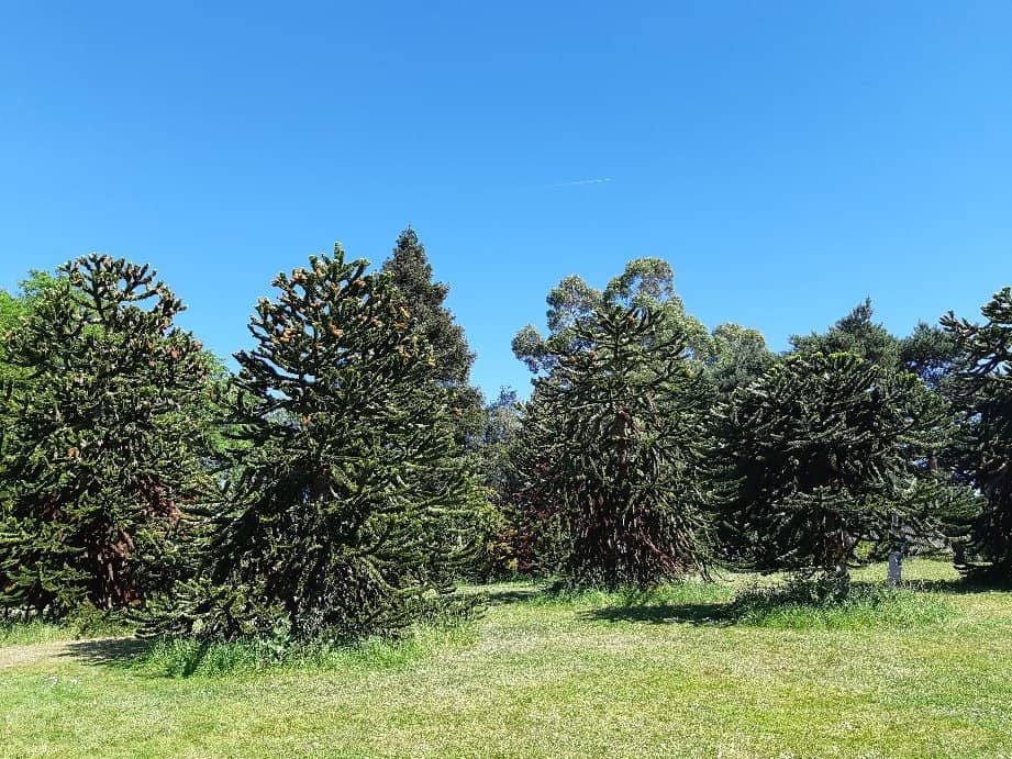 Tropical Greenhouses