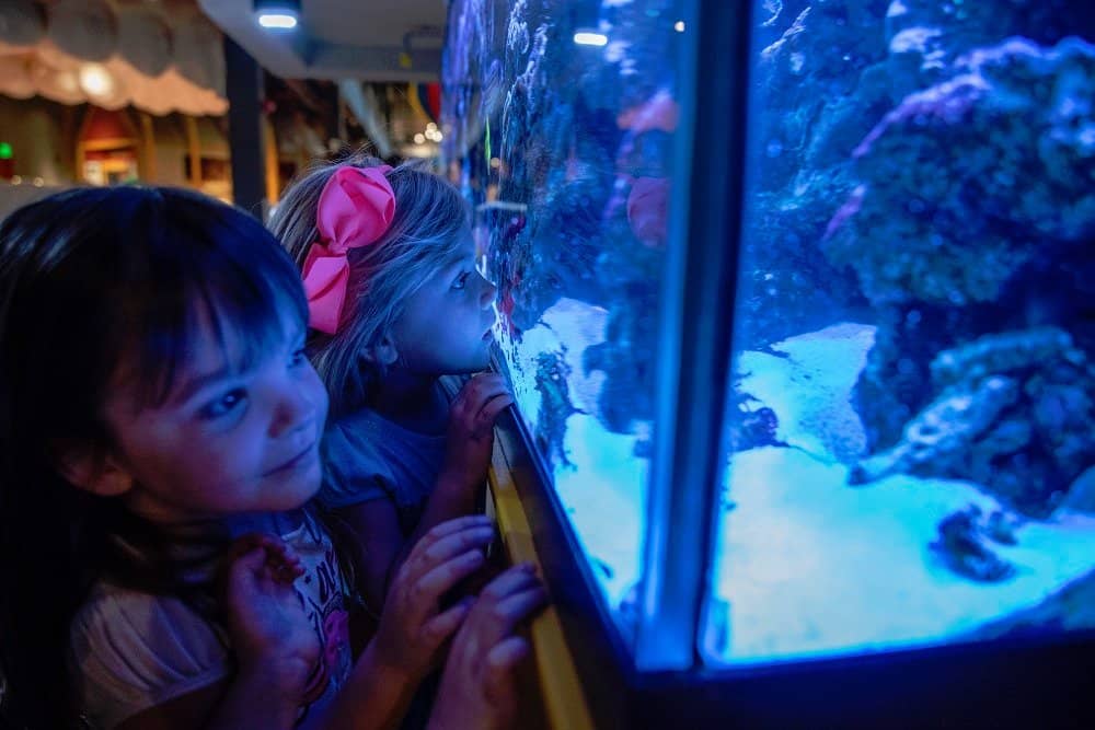 Love's Travel Stops Planetarium