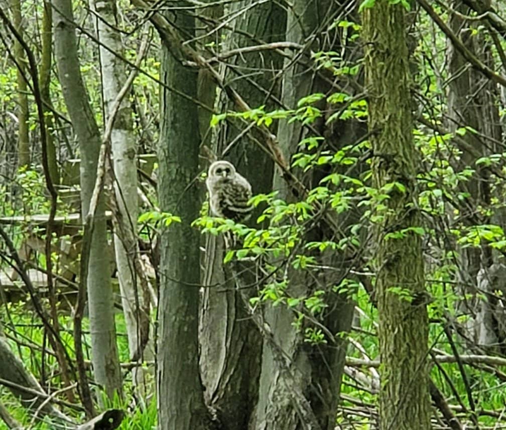 Nature Center & Live Animals