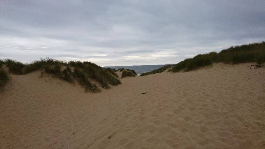 Red Squirrel Spotting