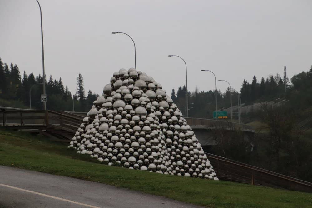 Photographic Opportunities