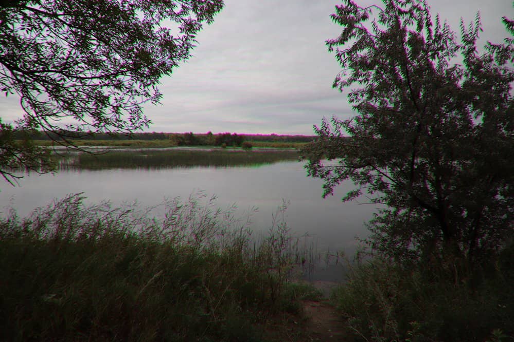 Vertical photo