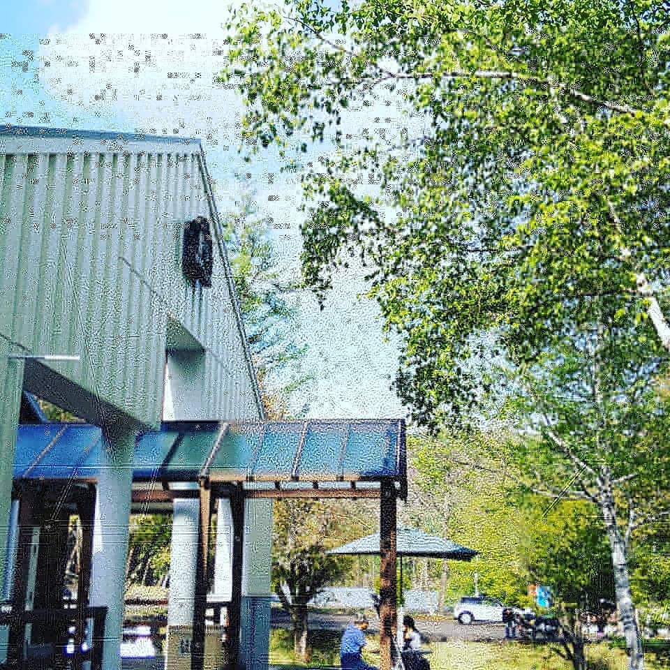 Gentle Kiso Horse Encounters