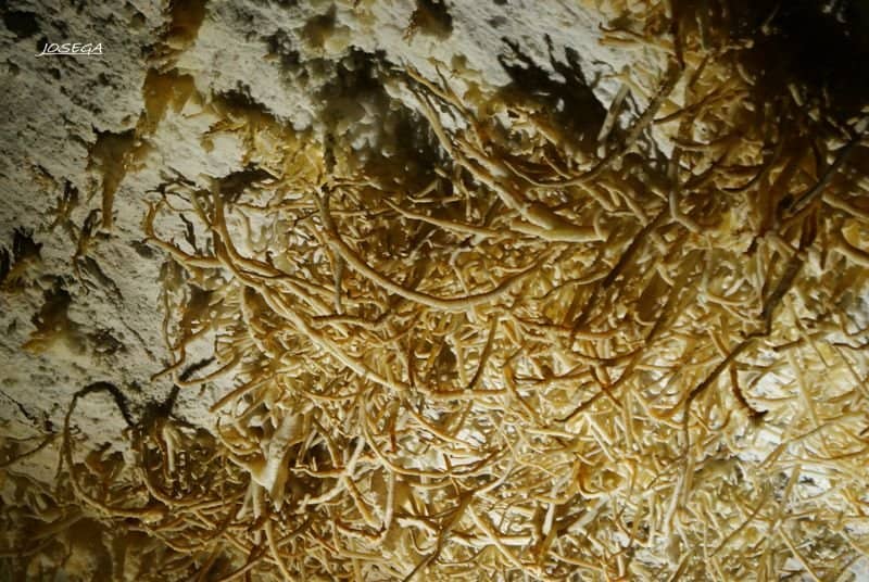 Carranza Valley Views