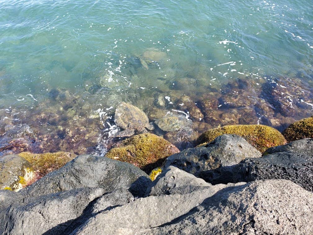Ma'alaea Beach Walk