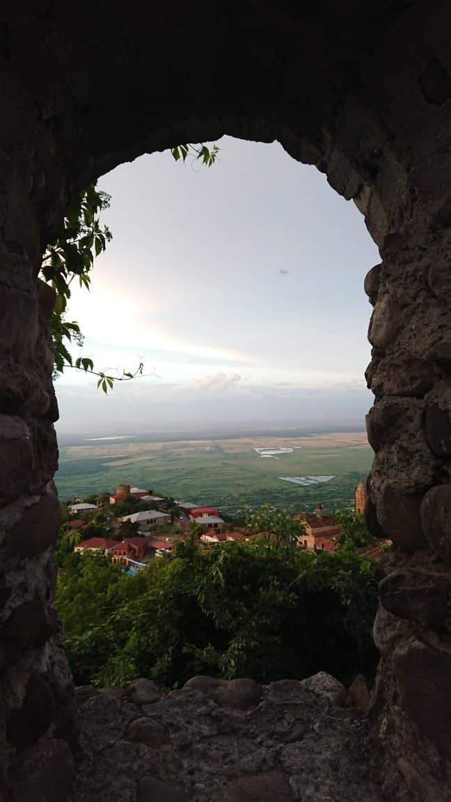 Vertical photo