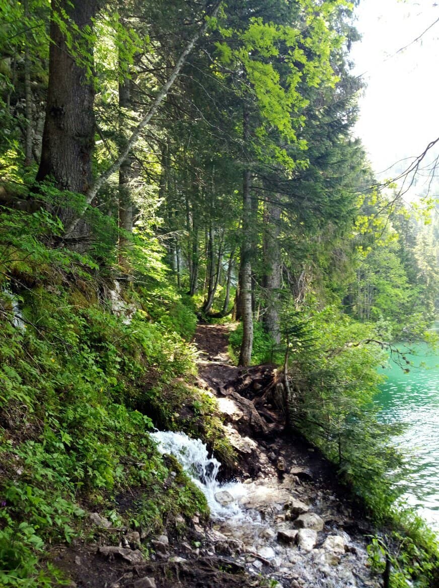 Vertical photo