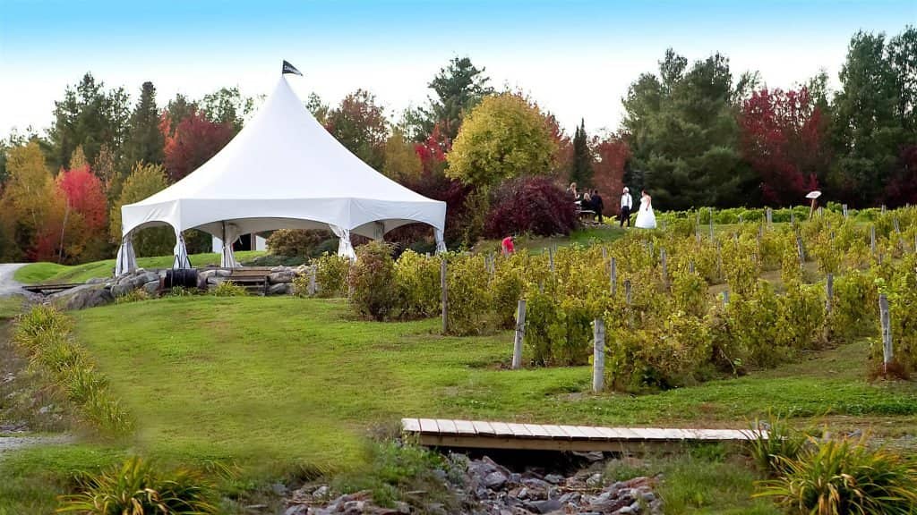 Ice Wine Experience