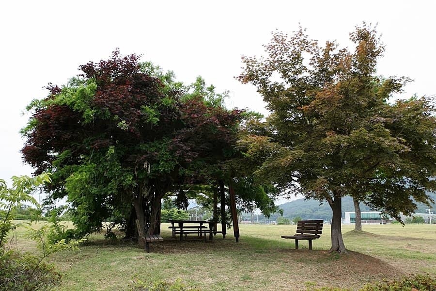 Ganghwa Island's Natural Beauty