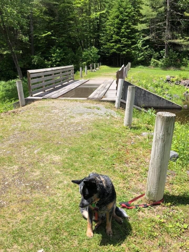 Abandoned Resort Ruins