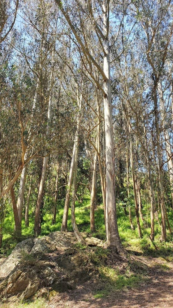 Rock Climbing Boulders