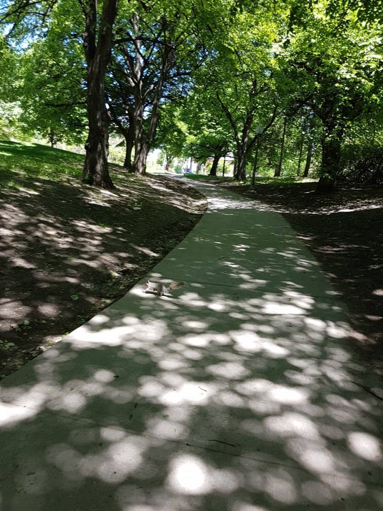 Wading Pool & Water Features