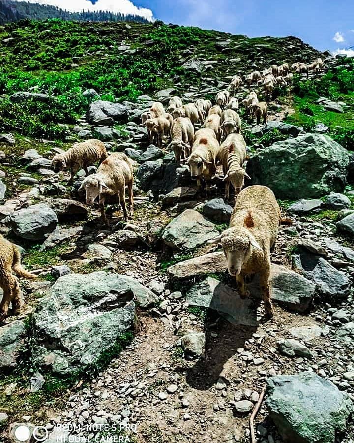 Vertical photo