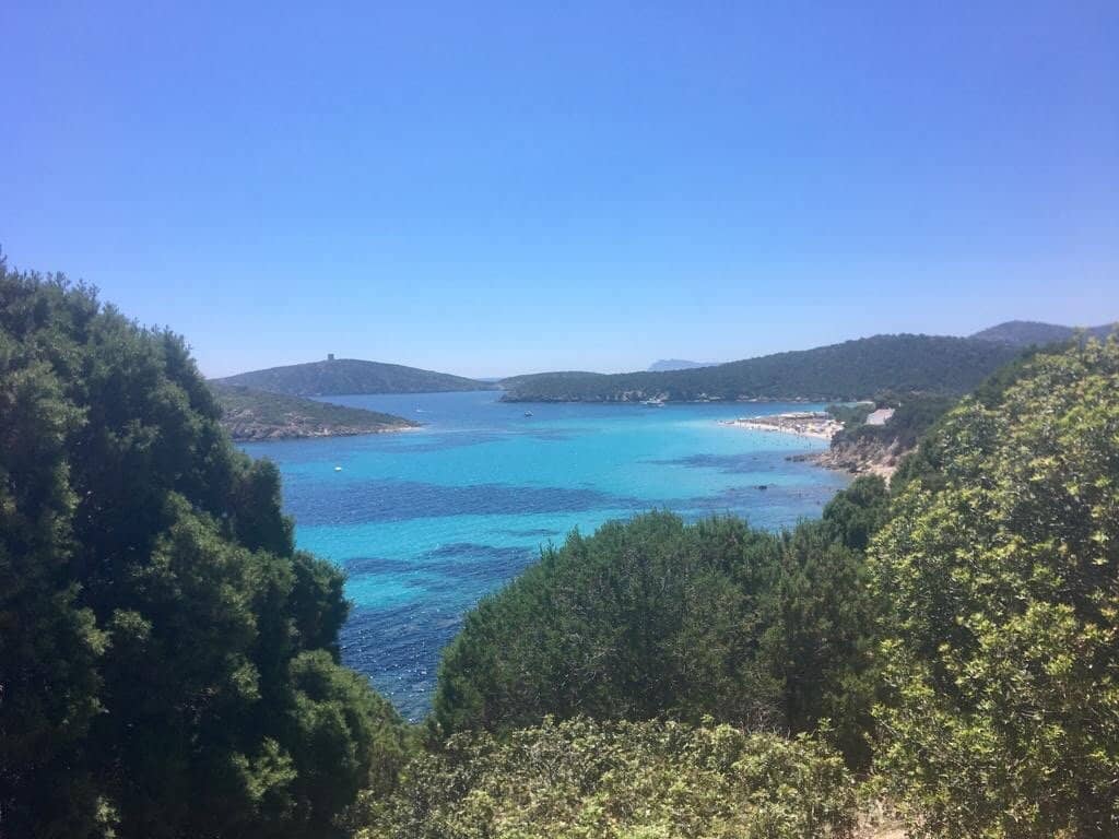 Torre Canai Views