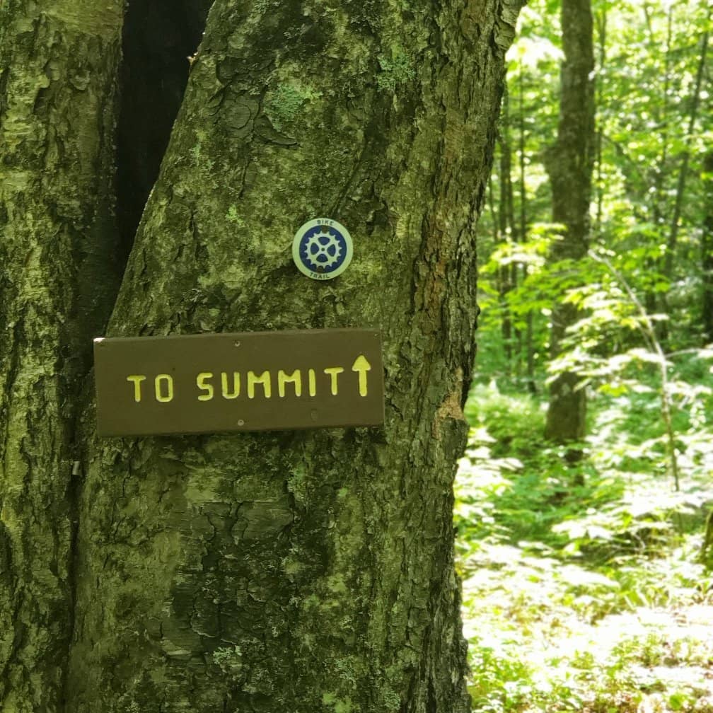 Sunset Over the Sound