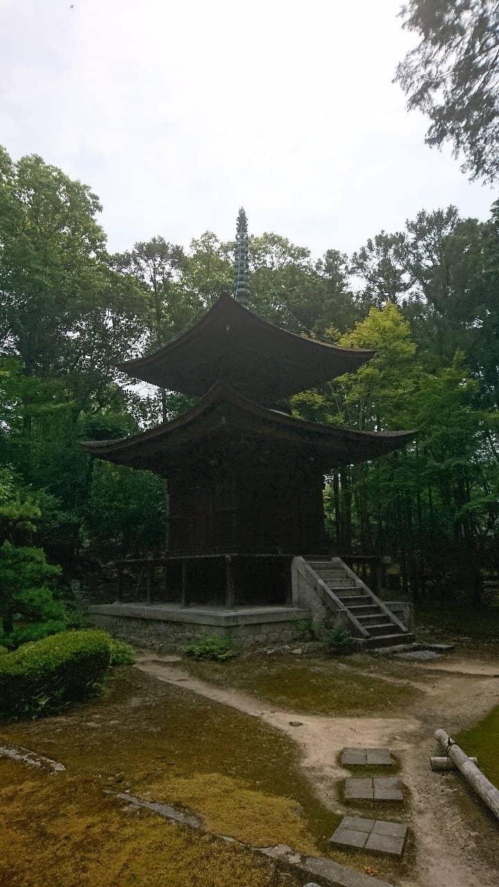 Ubazakura Cherry Tree