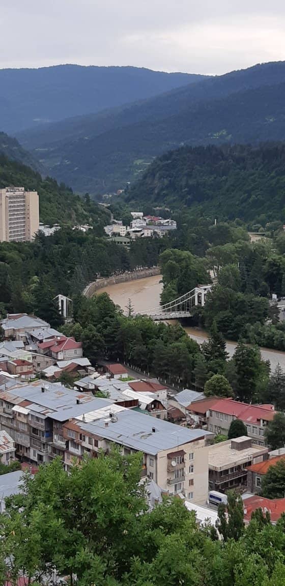 The Golden Dog Guide