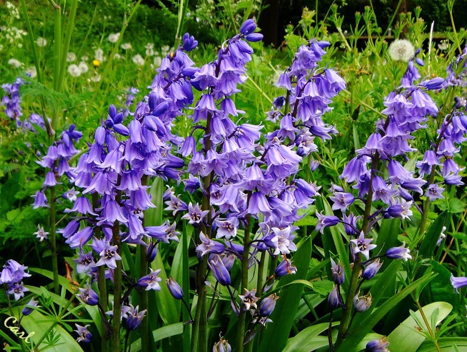 Children's Playground