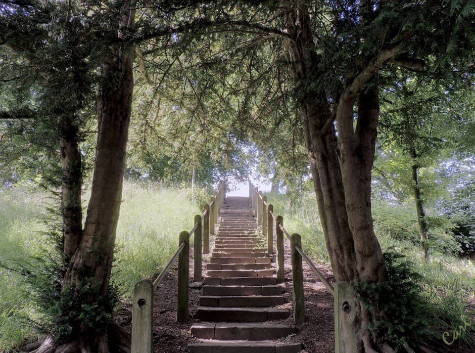 Vertical photo
