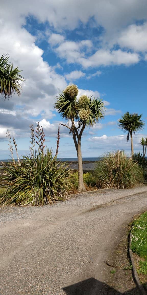Children's Play Park