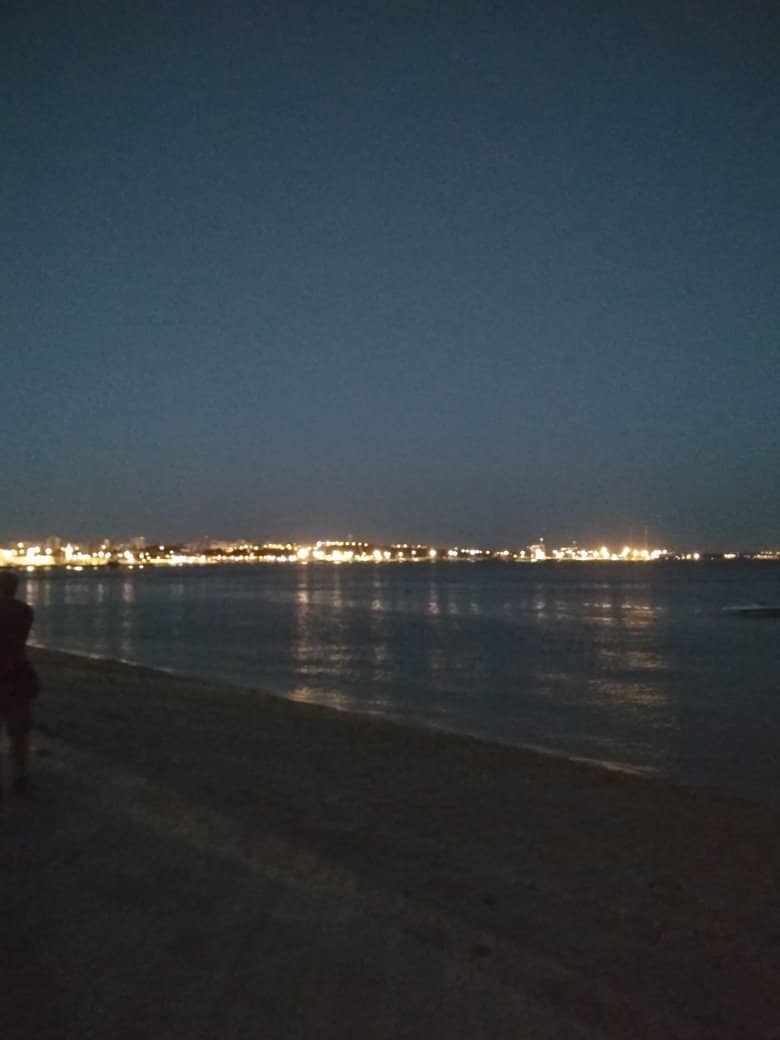 Pet-Friendly Beach Area