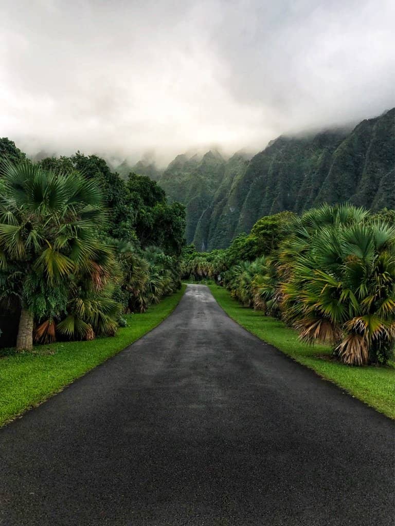 The Scenic Drive