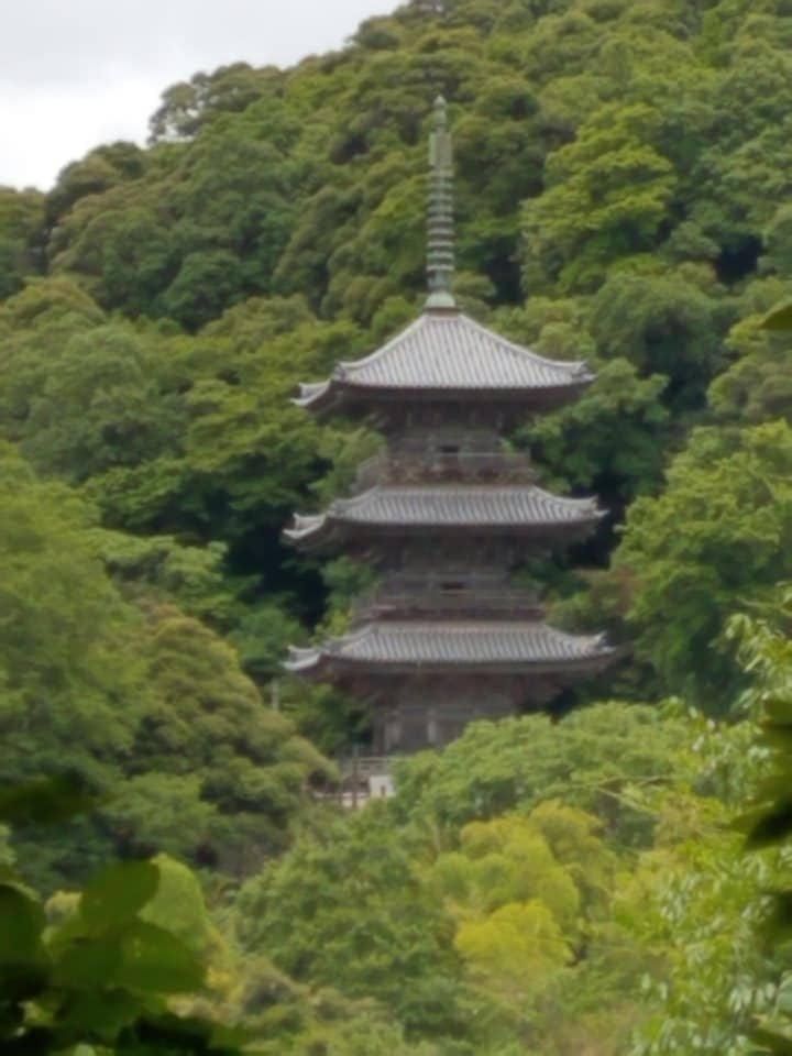 Panoramic Lookout Points