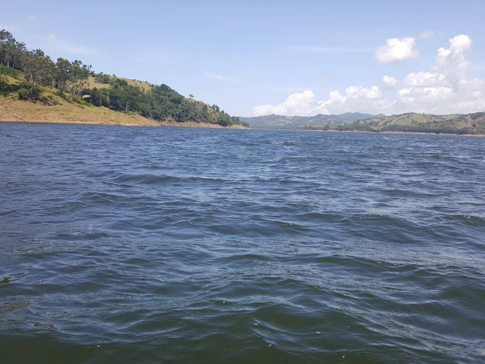 Family-Friendly Fun Zone