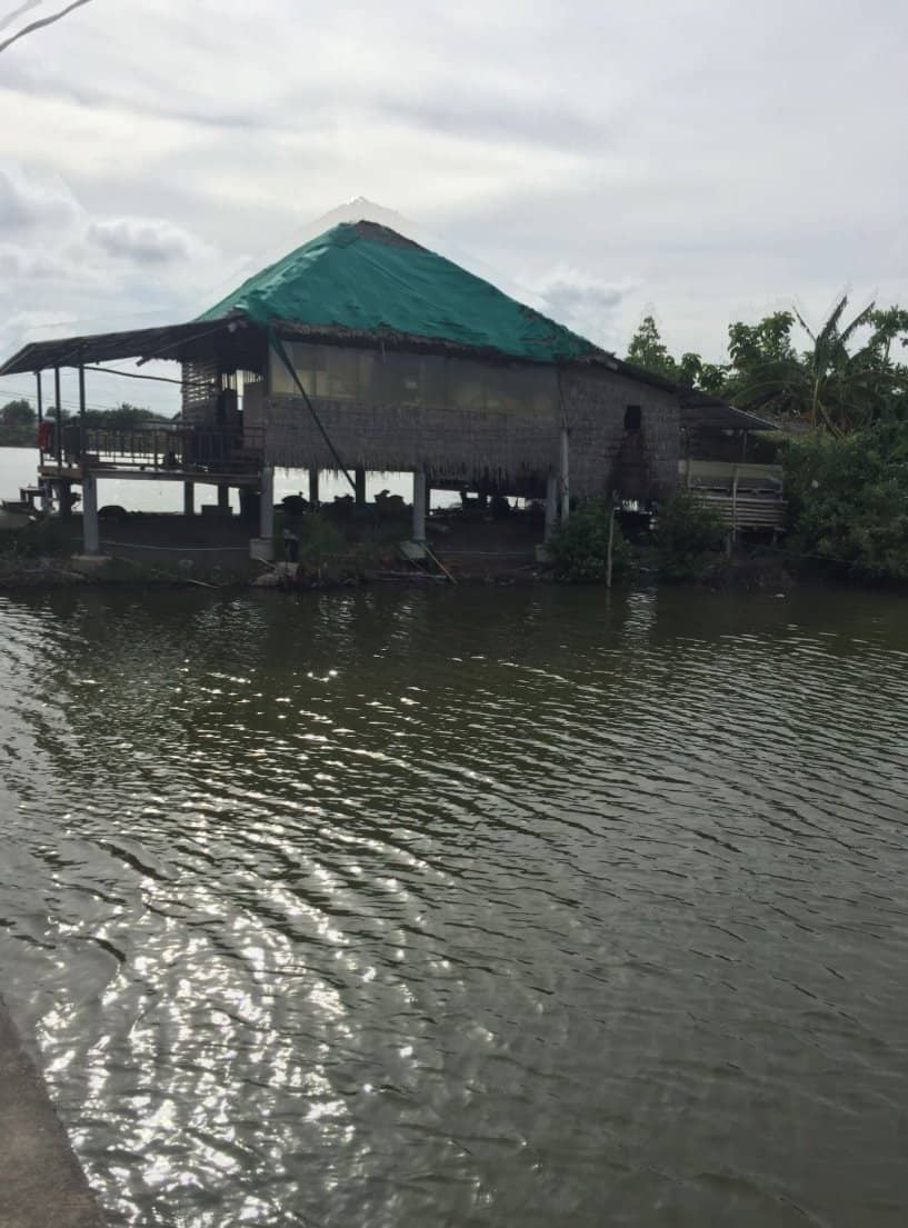 Whale Bone and Ancient Relics