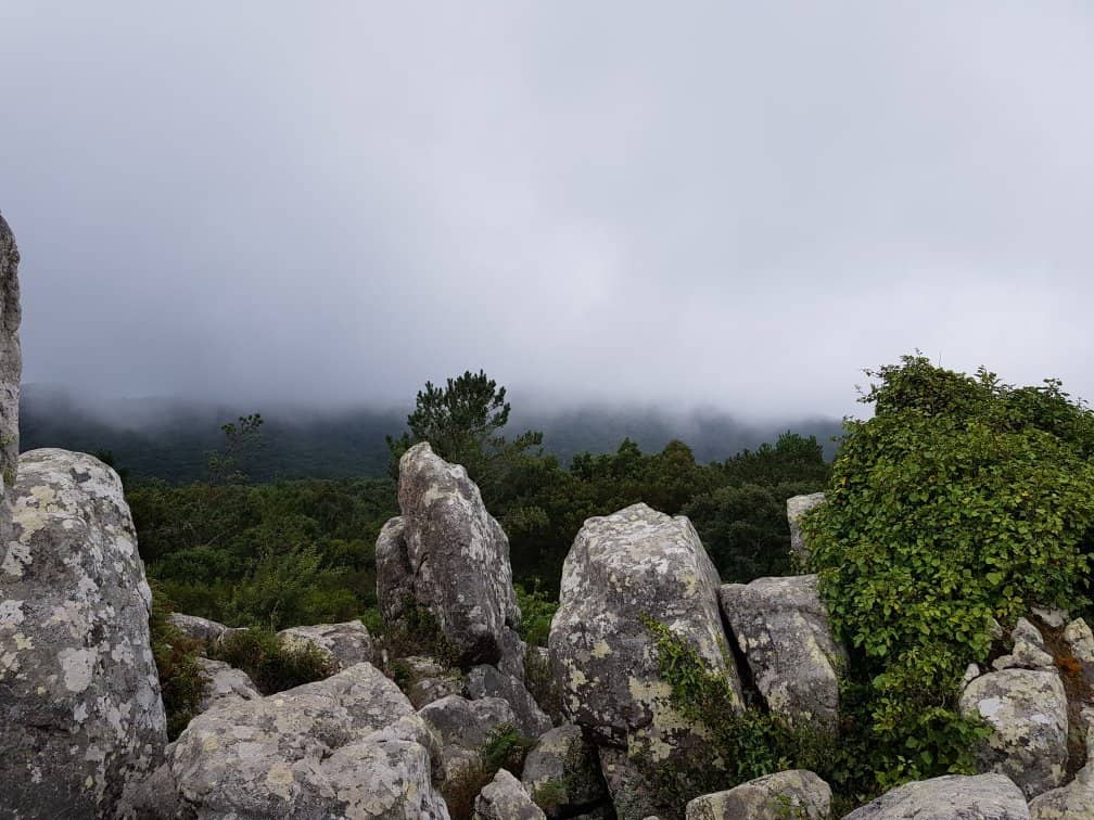 The Megalithic Tomb