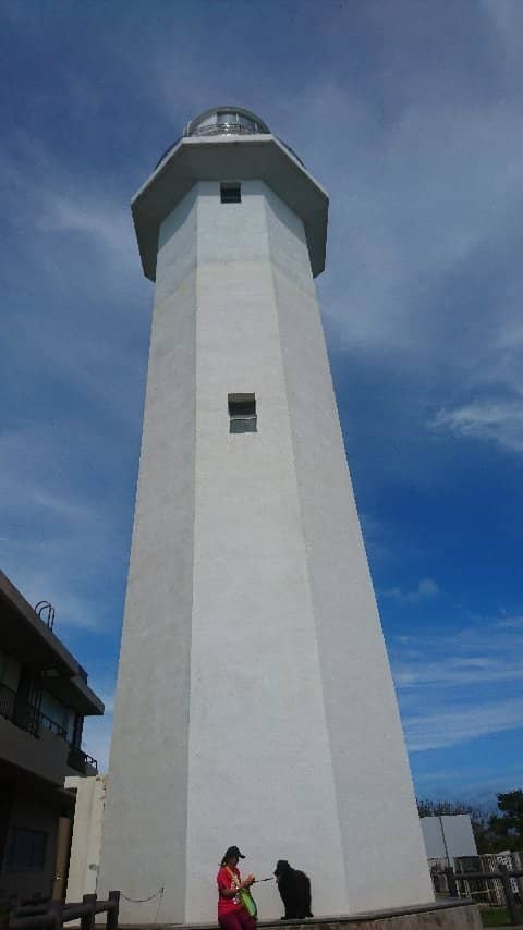 Rock-Strewn Coastline