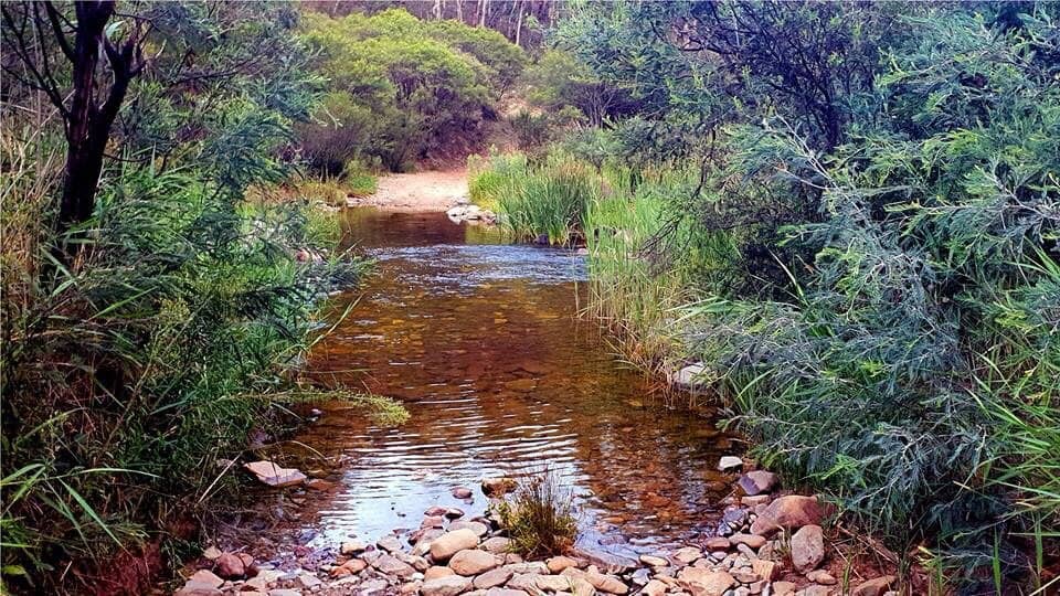 Secluded Campsites